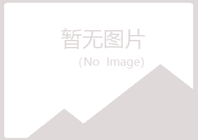 大新县彩虹化学有限公司